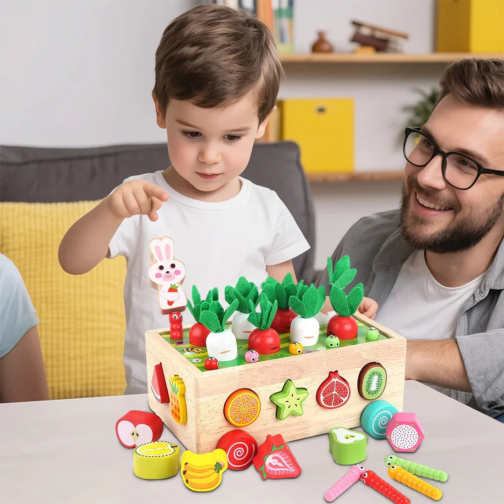 Little Minds Learning Collection