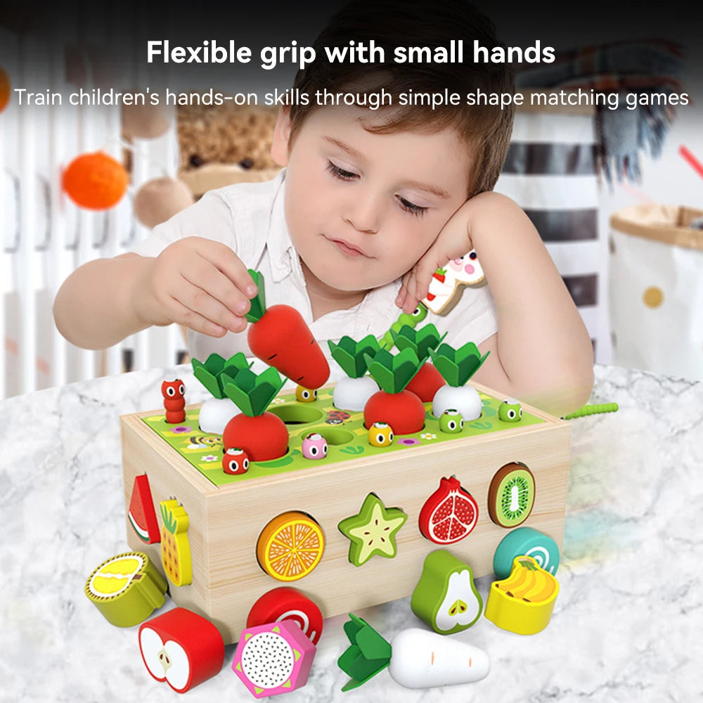 HarvestSmart™ Montessori Carrot Matching Box