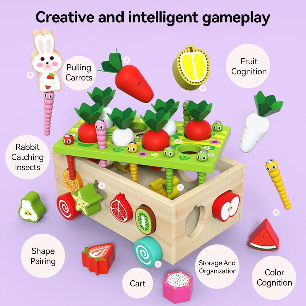 HarvestSmart™ Montessori Carrot Matching Box
