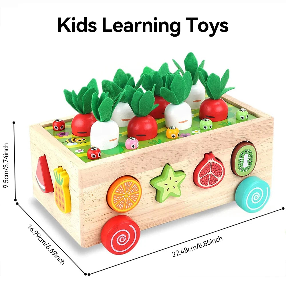 HarvestSmart™ Montessori Carrot Matching Box