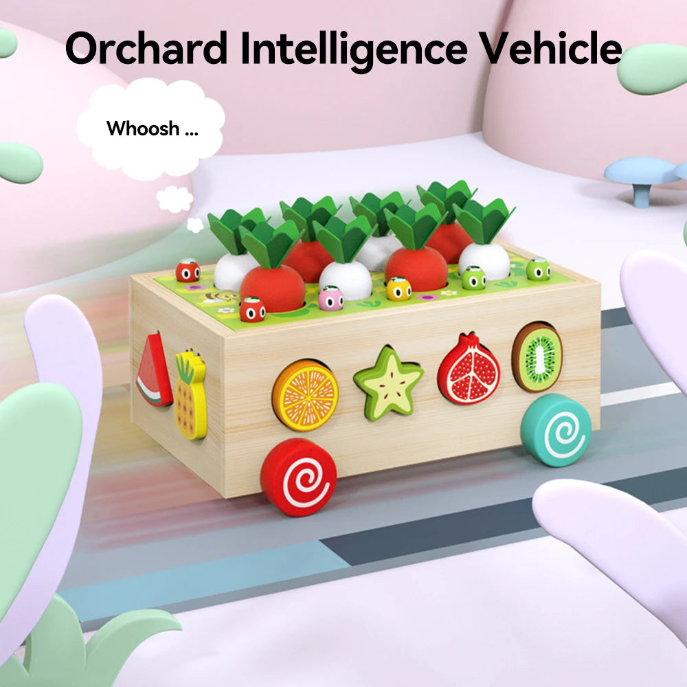 HarvestSmart™ Montessori Carrot Matching Box