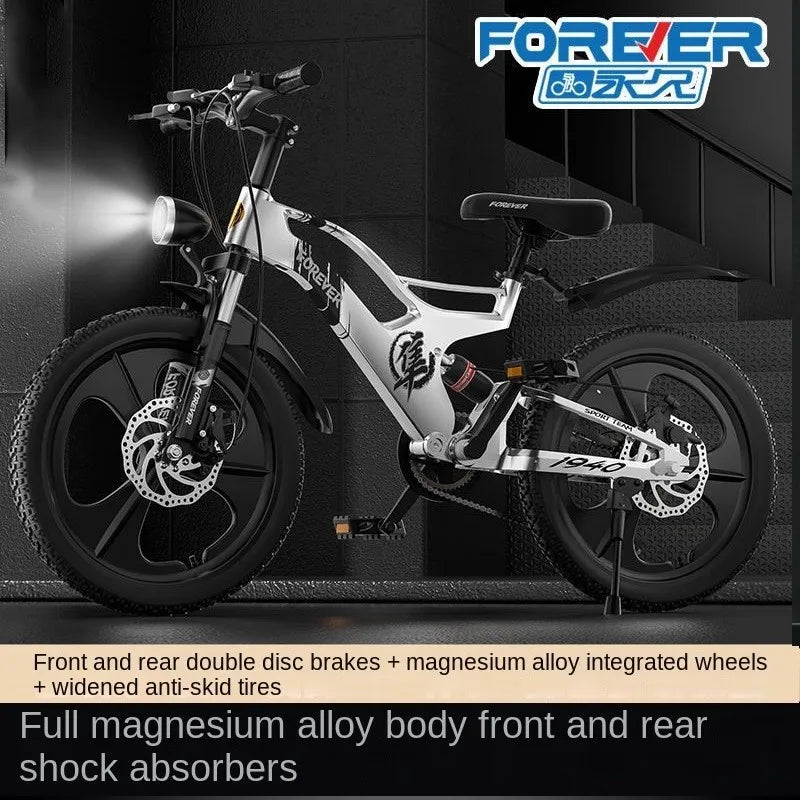 VoltRidge X™ Electric Mountain Bike