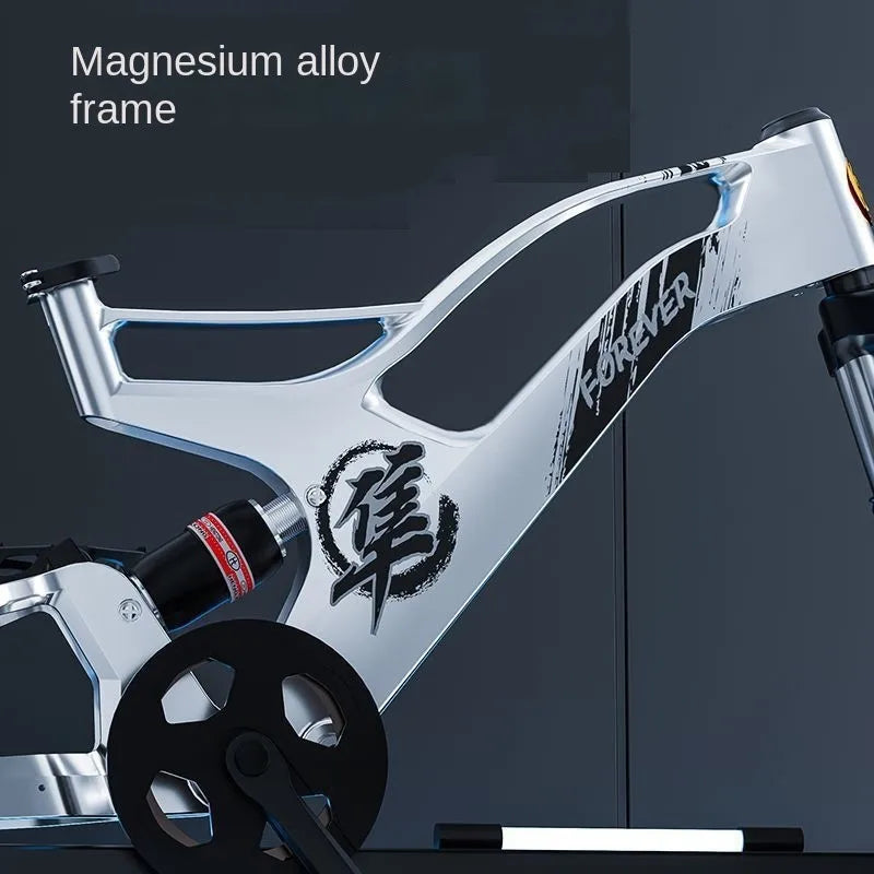 VoltRidge X™ Electric Mountain Bike