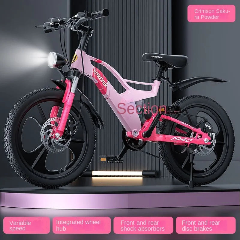 VoltRidge X™ Electric Mountain Bike